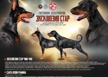 П-помет