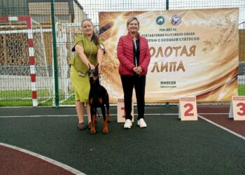 26.07.2026 г. Липецк